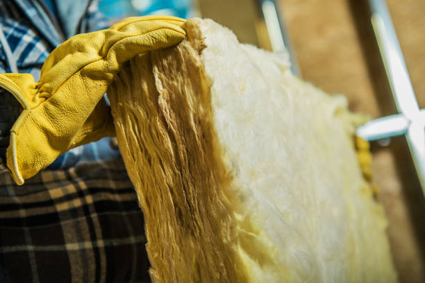 Best Insulation Maintenance and Repair in Gentry, AR